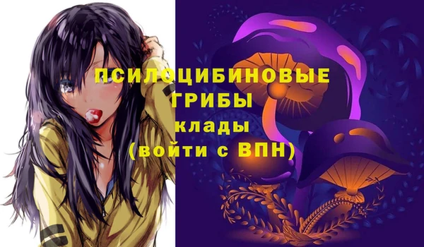 не бодяженный Алзамай