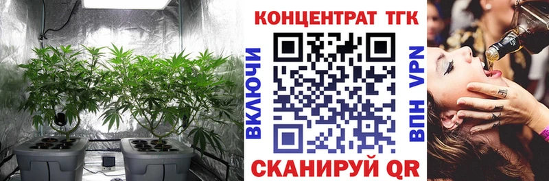 купить наркотики цена  Дорогобуж  mega маркетплейс  ТГК жижа 